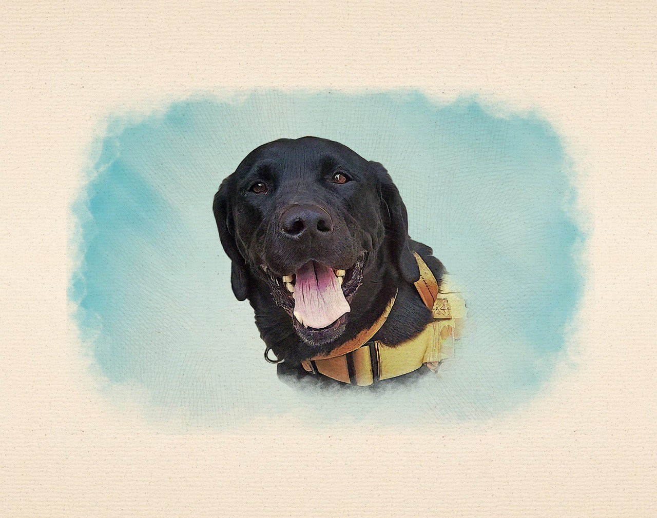 Highly Detailed Coloured Pencil PET Portrait - UK