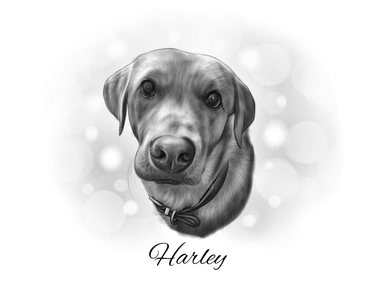Highly Detailed Charcoal Pencil PET Portrait - UK