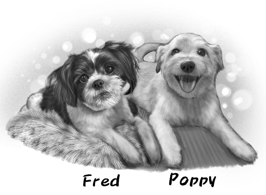 Highly Detailed Charcoal Pencil PET Portrait - UK