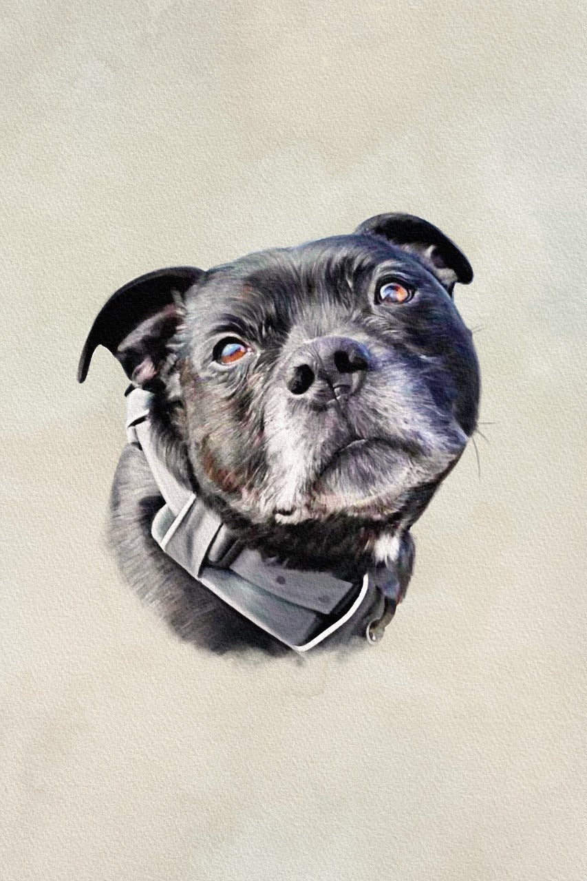 Highly Detailed Coloured Pencil PET Portrait - UK