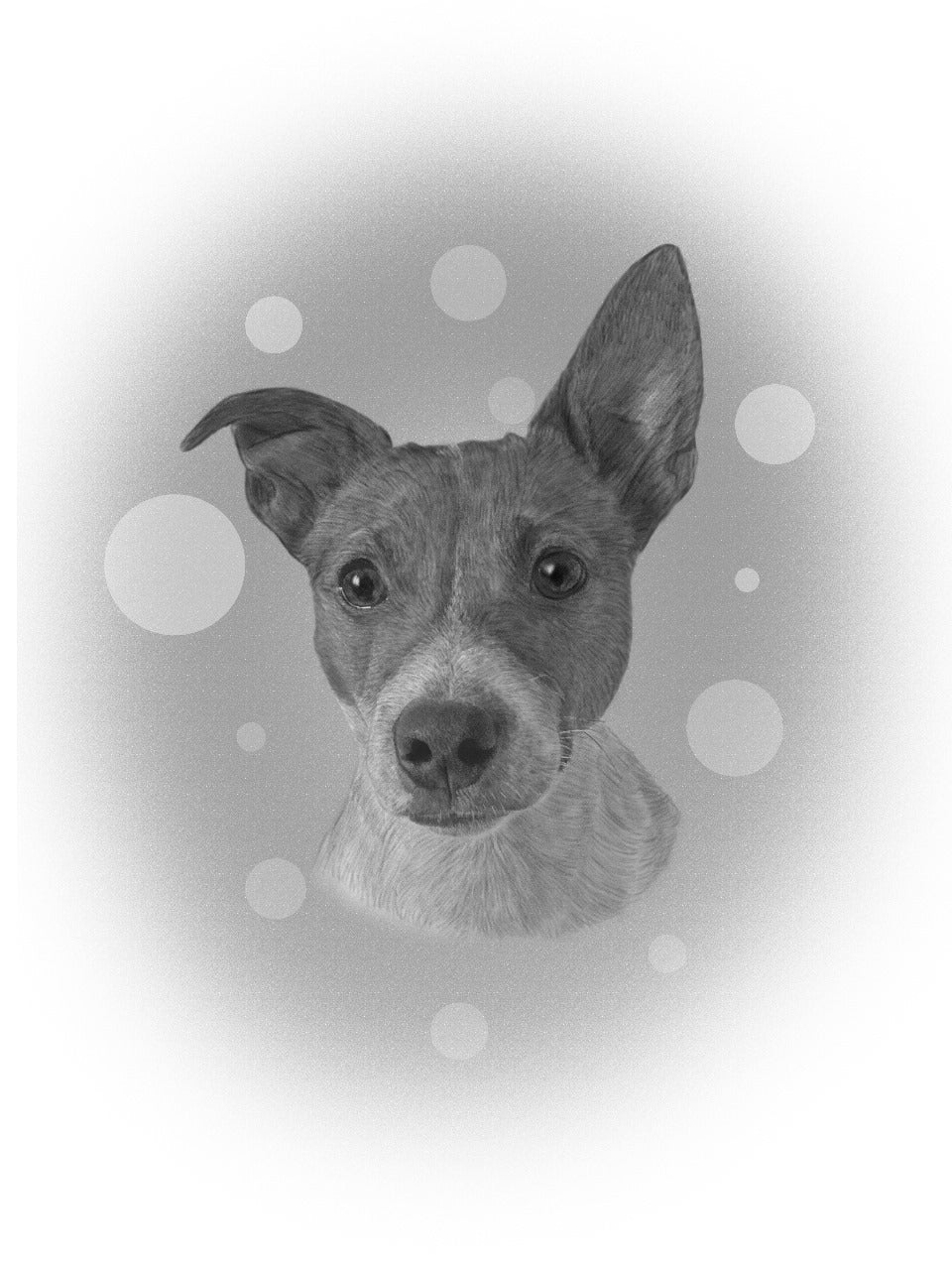 Highly Detailed Charcoal Pencil PET Portrait - UK