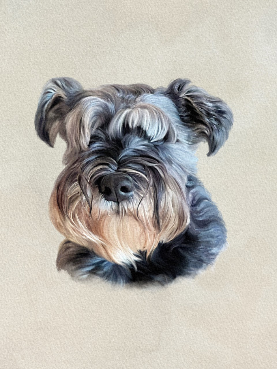 Highly Detailed Coloured Pencil PET Portrait - UK