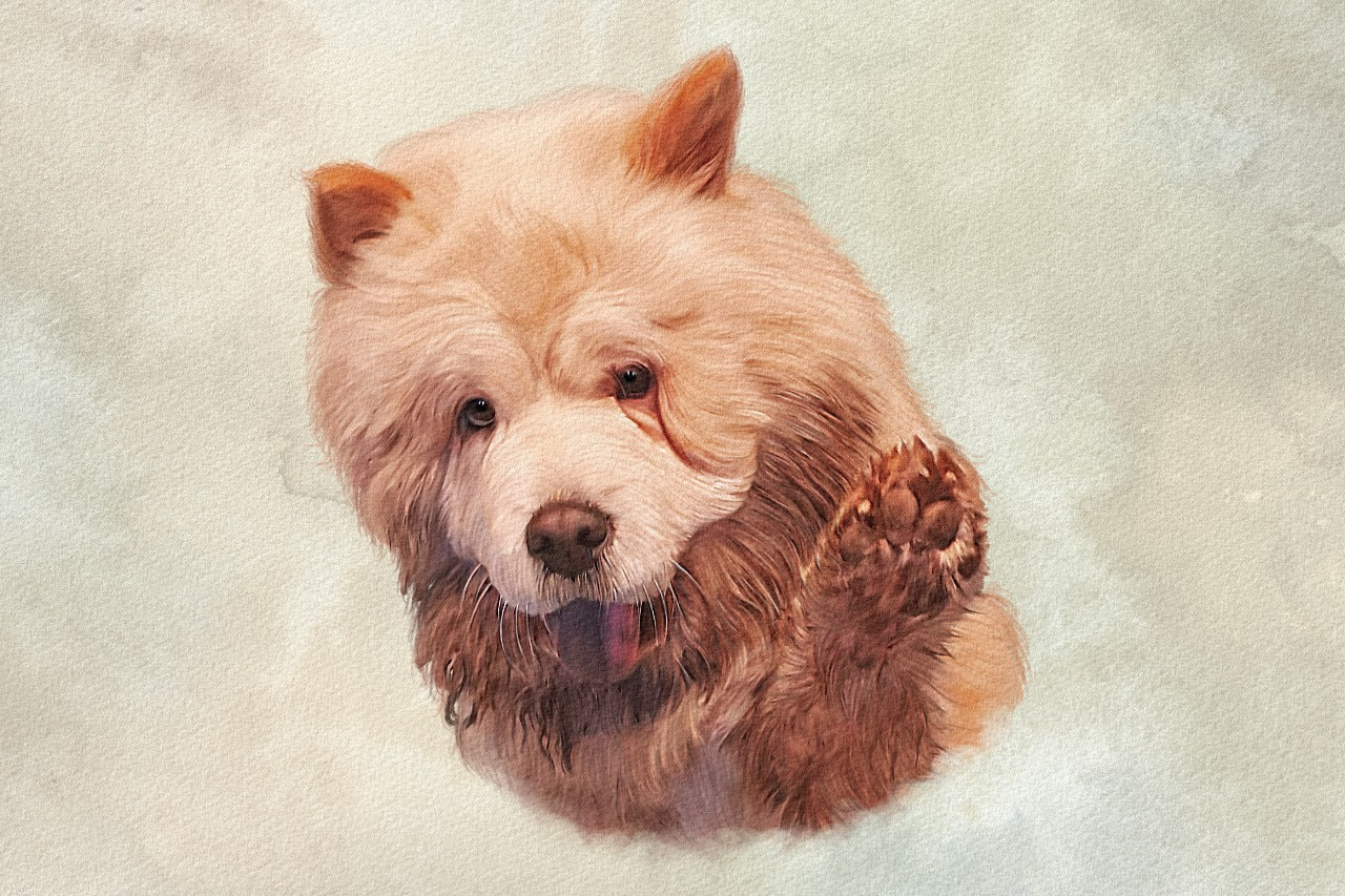 Highly Detailed Coloured Pencil PET Portrait - UK