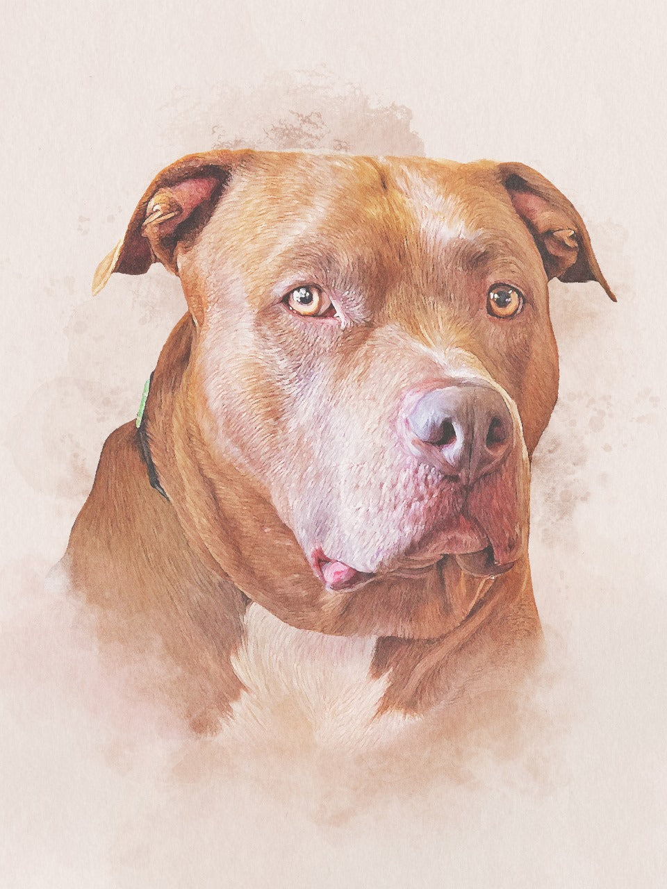 Highly Detailed Coloured Pencil PET Portrait - UK