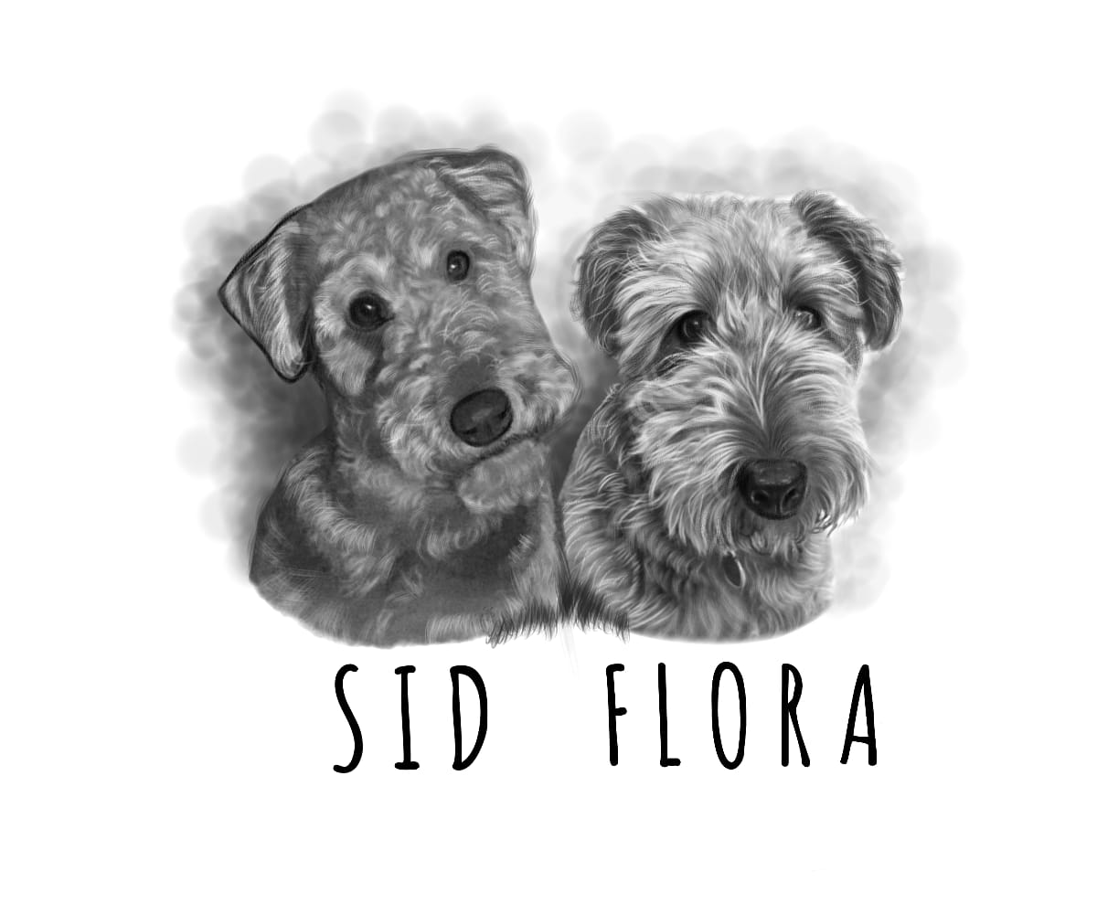 Highly Detailed Charcoal Pencil PET Portrait - UK